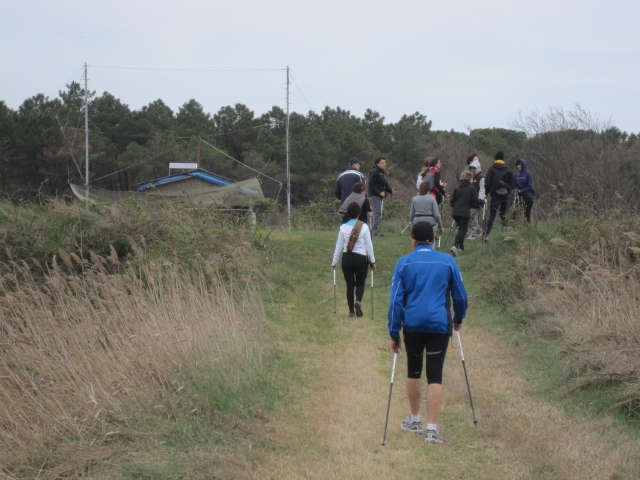  nordic walking walk